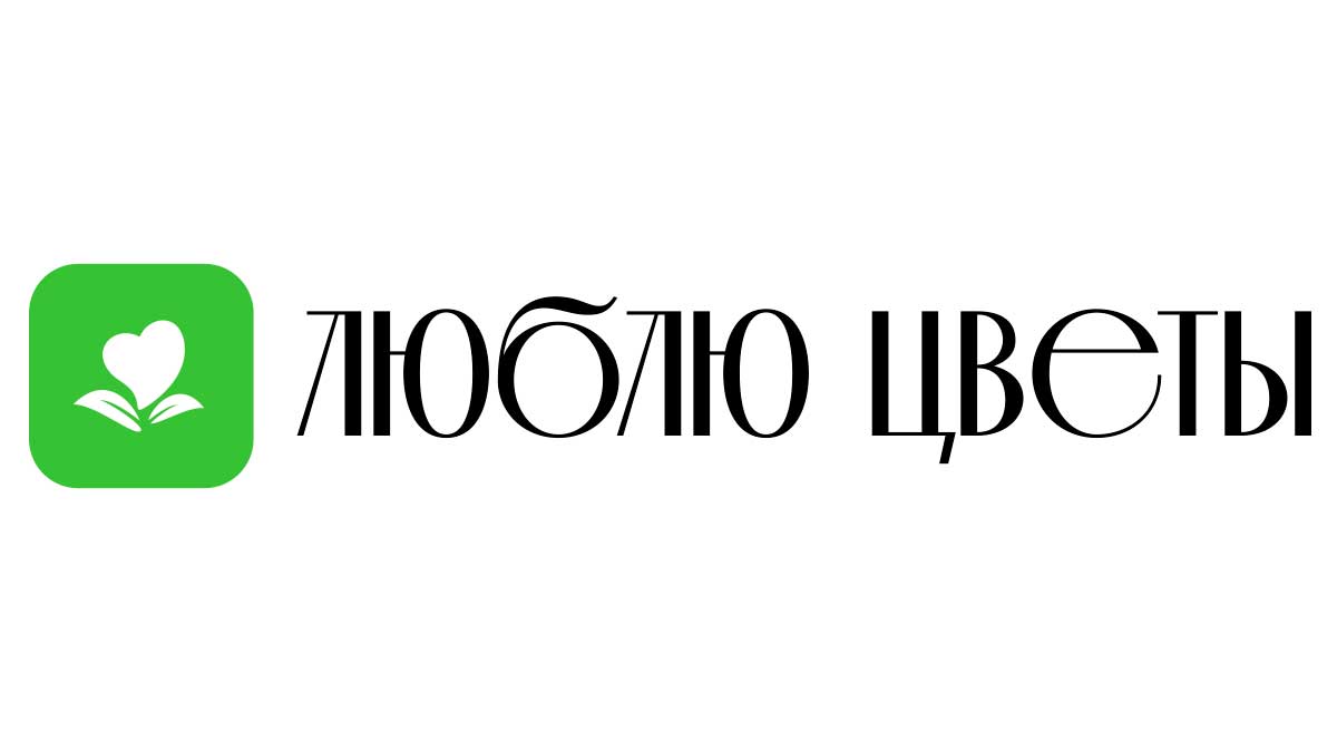 Доставка цветов - Шахтинск | Купить цветы и букеты - Недорого -  Круглосуточно | Заказ на дом от интернет-магазина «Люблю цветы»